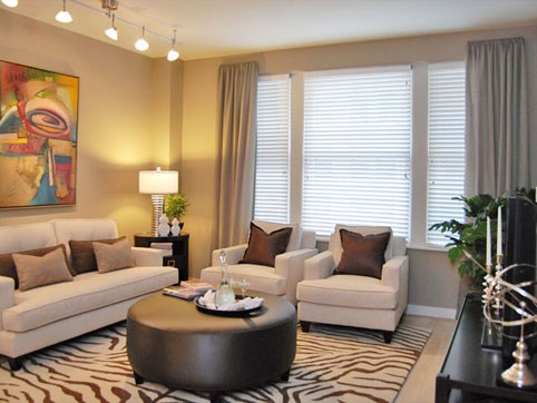 Living Room Living Room
